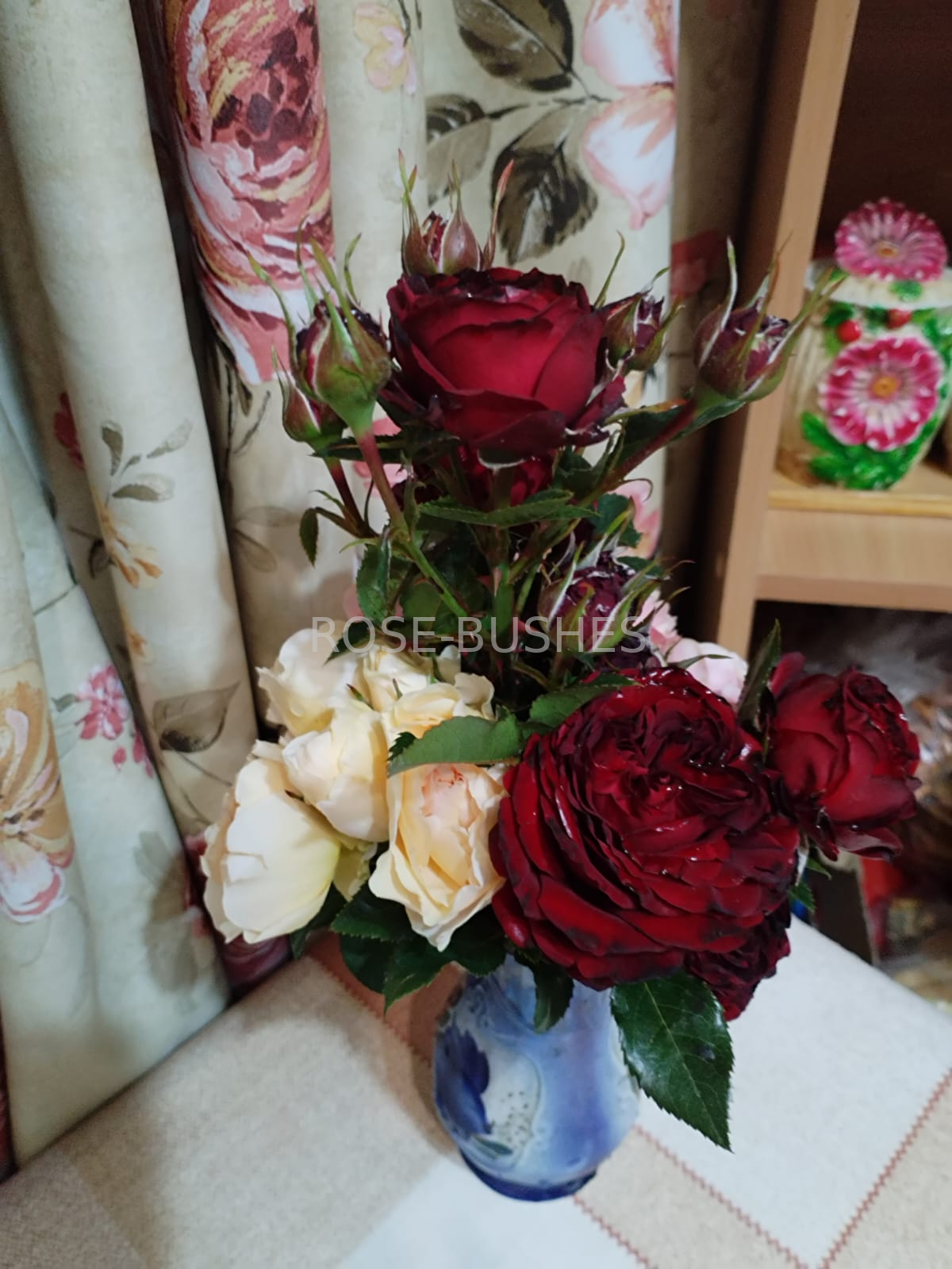 ����� ���. Mayras Red. (��, ����.)